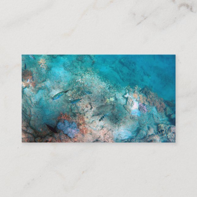 Standard Business Card 3.5" x 2.0" (Front)