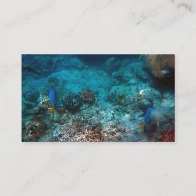 Standard Business Card 3.5" x 2.0" (Front)