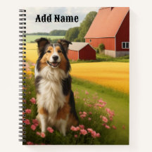 Standard Collie on Farm