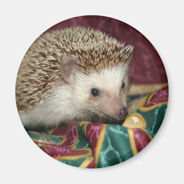 Standard hh magnet (Front)