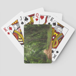 Standard Index Playing Cards Plantation Road