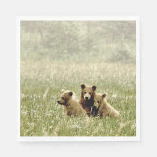 Standard Luncheon paper napkins w/ cubs