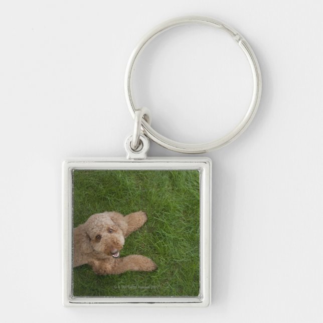 standard poodle 2 key ring (Front)
