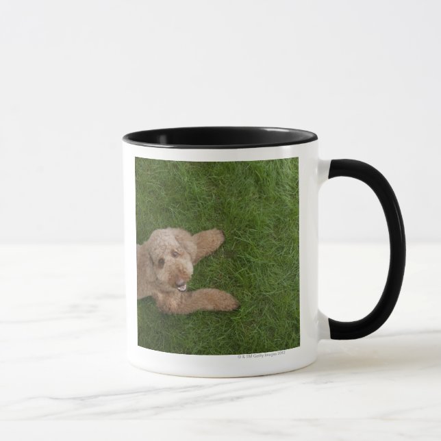standard poodle 2 mug (Right)
