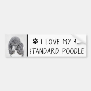 Standard Poodle Black Parti Painting - Dog Art Bumper Sticker