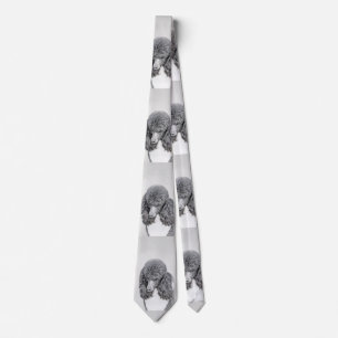 Standard Poodle Black Parti Painting - Dog Art Tie