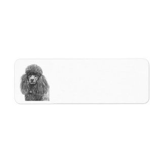 Standard Poodle Charcoal Sketch Return Address Label
