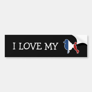Standard Poodle Dog Breed in French Flag Bumper Sticker