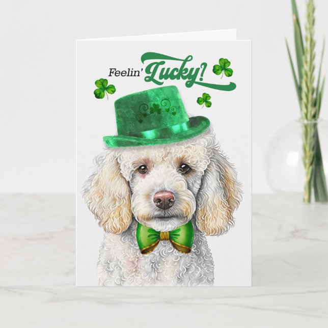 Standard Poodle Dog Feelin' Lucky St Patrick's Day Holiday Card (Front)