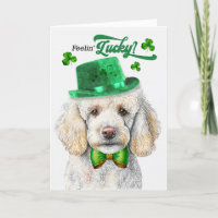 Standard Poodle Dog Feelin' Lucky St Patrick's Day
