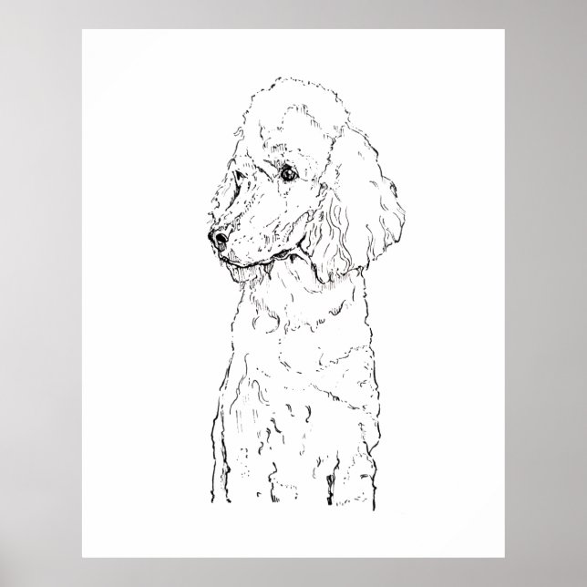 Standard Poodle Dog Illustration - Ink Art Poster (Front)