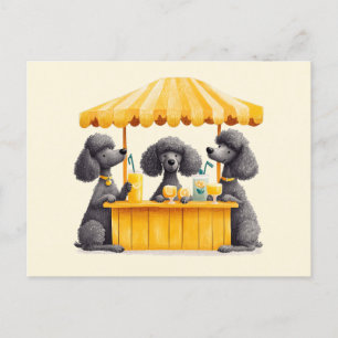 Standard Poodle Dogs Running A Lemonade Stand Postcard