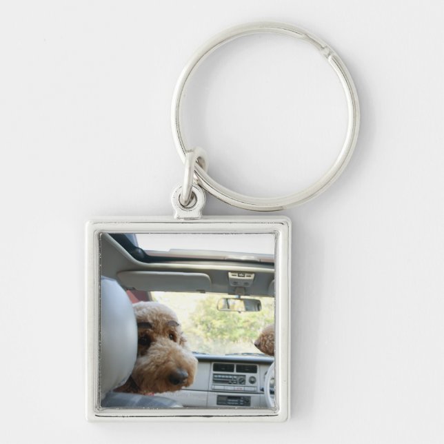 standard poodle key ring (Front)