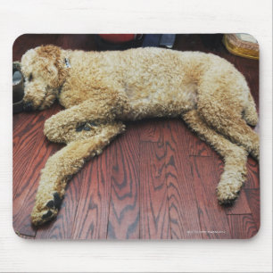 Standard Poodle Sleeping on Floor Mouse Pad