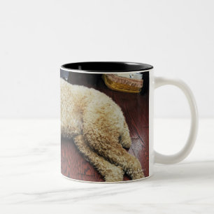 Standard Poodle Sleeping on Floor Two-Tone Coffee Mug