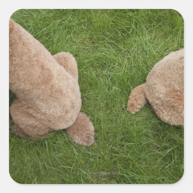 standard poodle square sticker (Front)