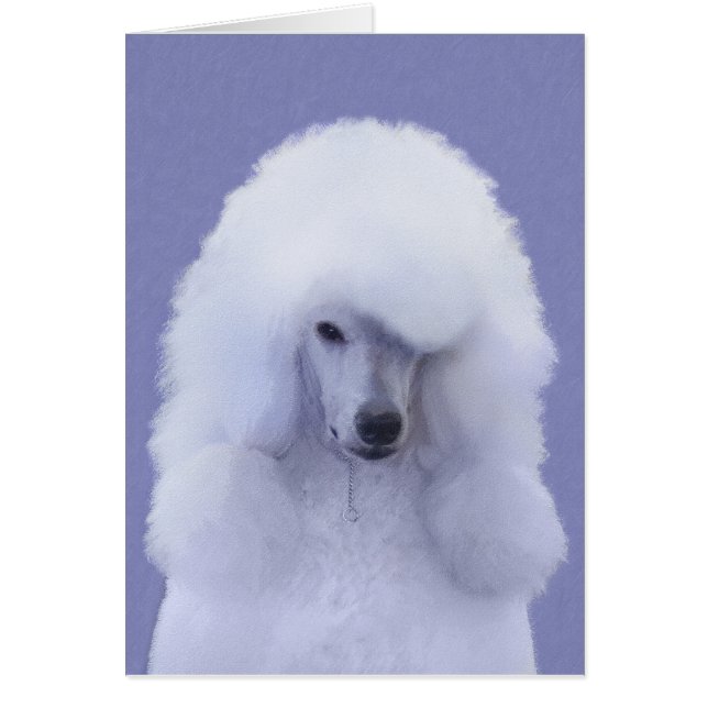 Standard Poodle White Painting - Original Dog Art (Front)