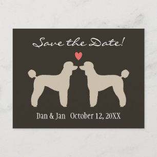 Standard Poodles Wedding Save the Date Announcement Postcard