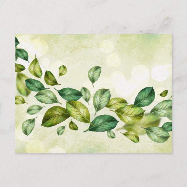 Standard Postcard (Front)