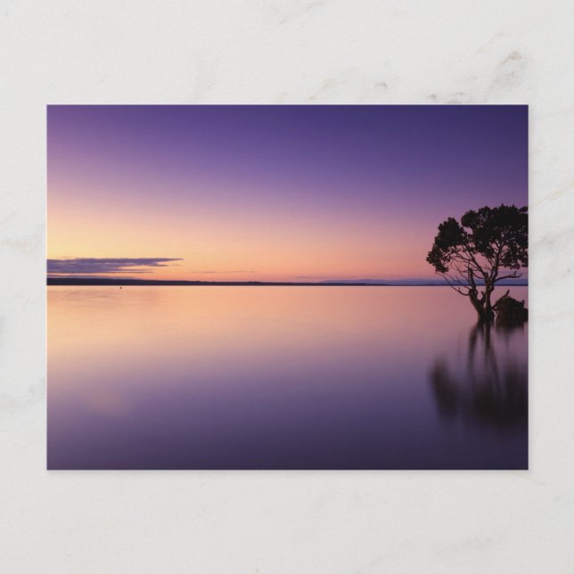 Standard Postcard (Front)