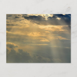 Standard Postcard