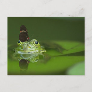 Standard Postcard
