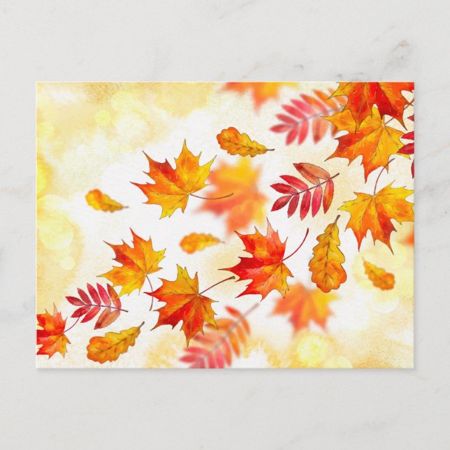 Standard Postcard (Front)