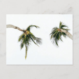Standard Postcard