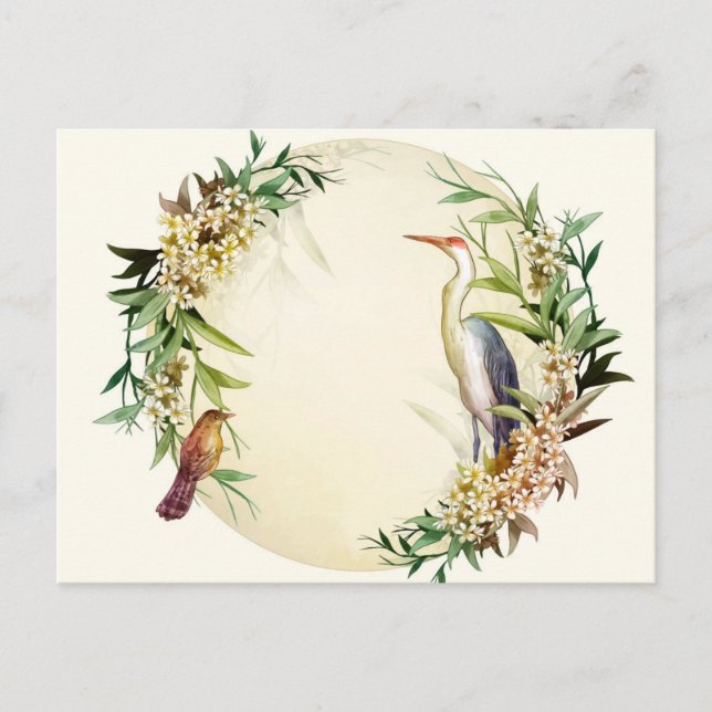 Standard Postcard (Front)