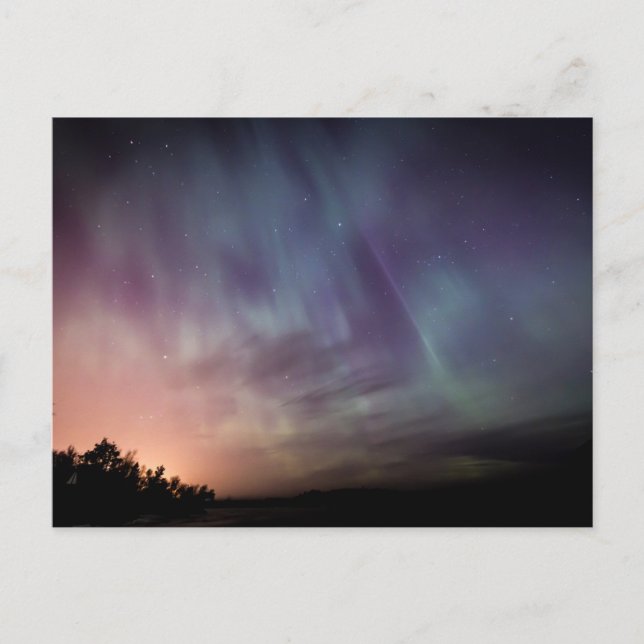 Standard Postcard (Front)