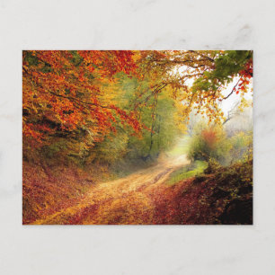 Standard Postcard