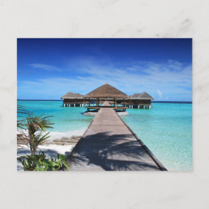Standard Postcard