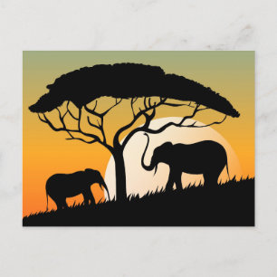 Standard Postcard