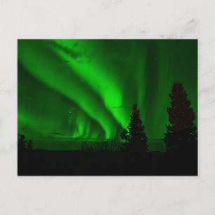 Standard Postcard