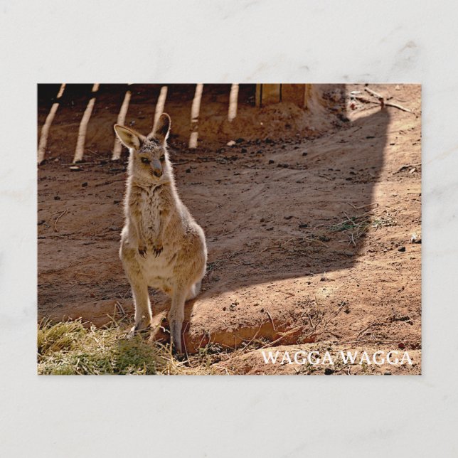 Standard postcard (Front)