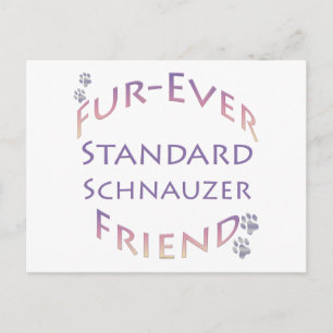 Standard Schnauzer Furever Friend Postcard