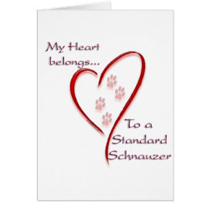 Standard Schnauzer Heart Belongs