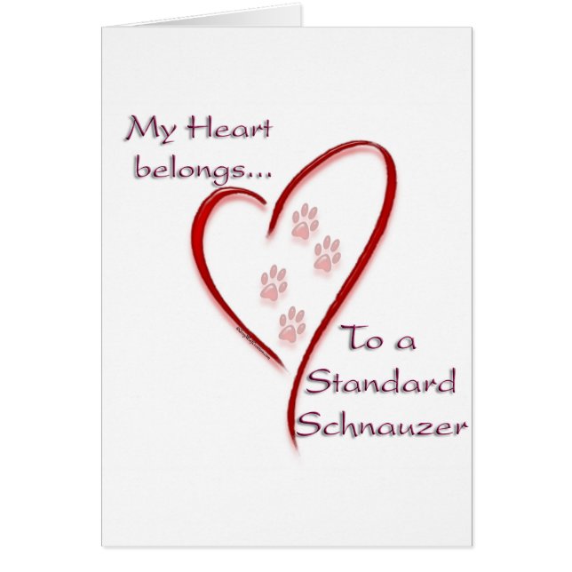 Standard Schnauzer Heart Belongs (Front)