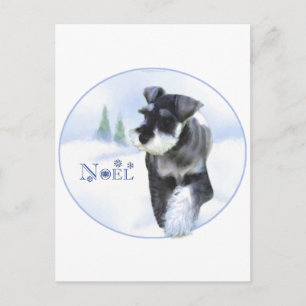 Standard Schnauzer Noel Holiday Postcard