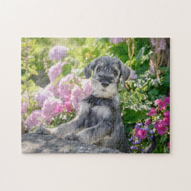 Standard Schnauzer puppy in a flowering garden Jigsaw Puzzle (Horizontal)
