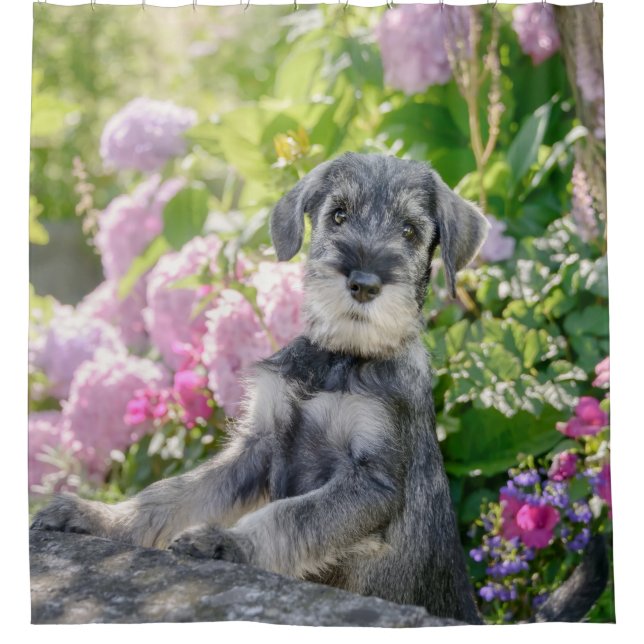 Standard Schnauzer Puppy in a Flowering Garden - Shower Curtain (Front)
