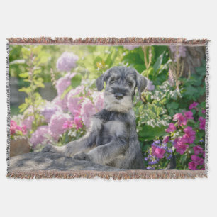 Standard Schnauzer Puppy in a Flowering Garden - Throw Blanket