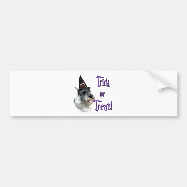 Standard Schnauzer Trick Bumper Sticker (Front)
