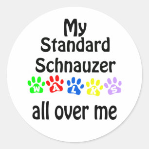Standard Schnauzer Walks Design Classic Round Sticker