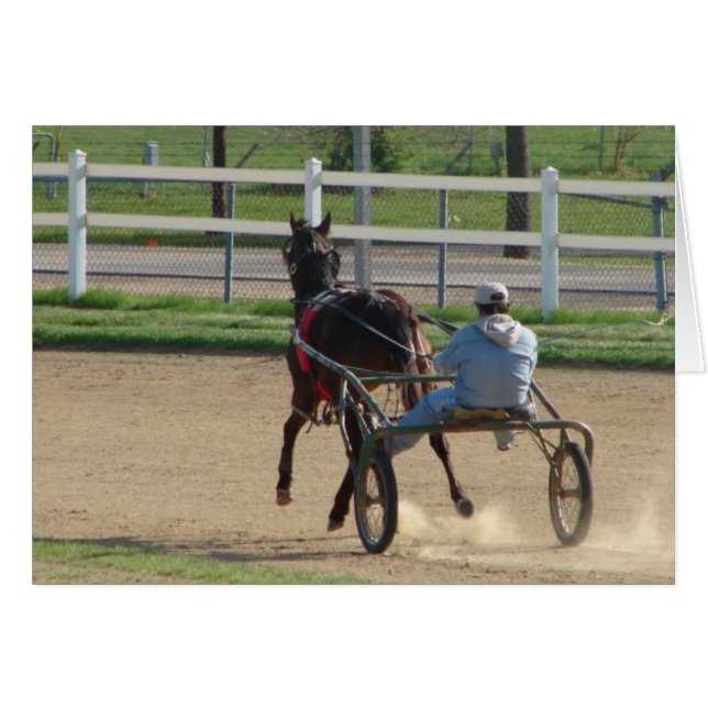 Standardbred (Front Horizontal)