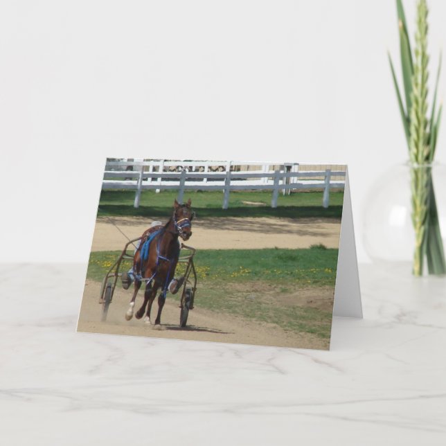 Standardbred Card (Front)