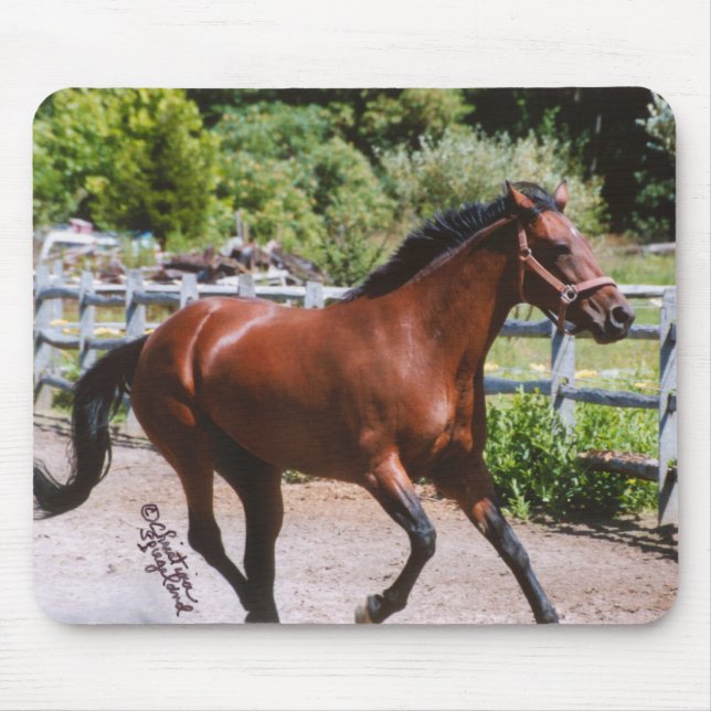 Standardbred Horse Galloping Mousepad (Front)