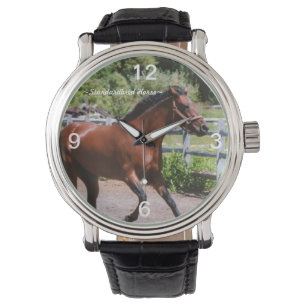 Standardbred horse galloping Watch
