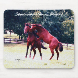 Standardbred horses playing Mousepad