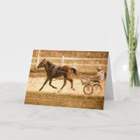 Standardbred Race Horse, Grunge